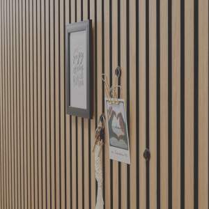 ter Hürne Dolf – Műanyag gomb (Plastic knob)