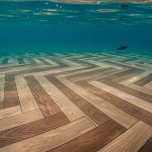 freepik__candid-i-with-natural-textures-and-highly-realisti__88462